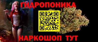 эйфоретик Заводоуковск