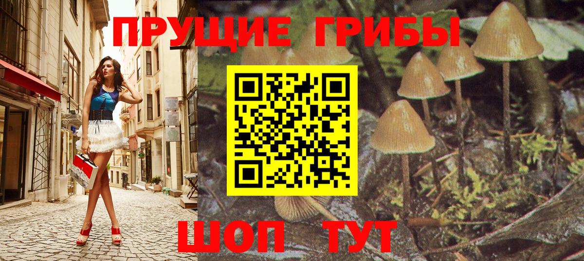 Псилоцибиновые грибы GOLDEN TEACHER Лабытнанги