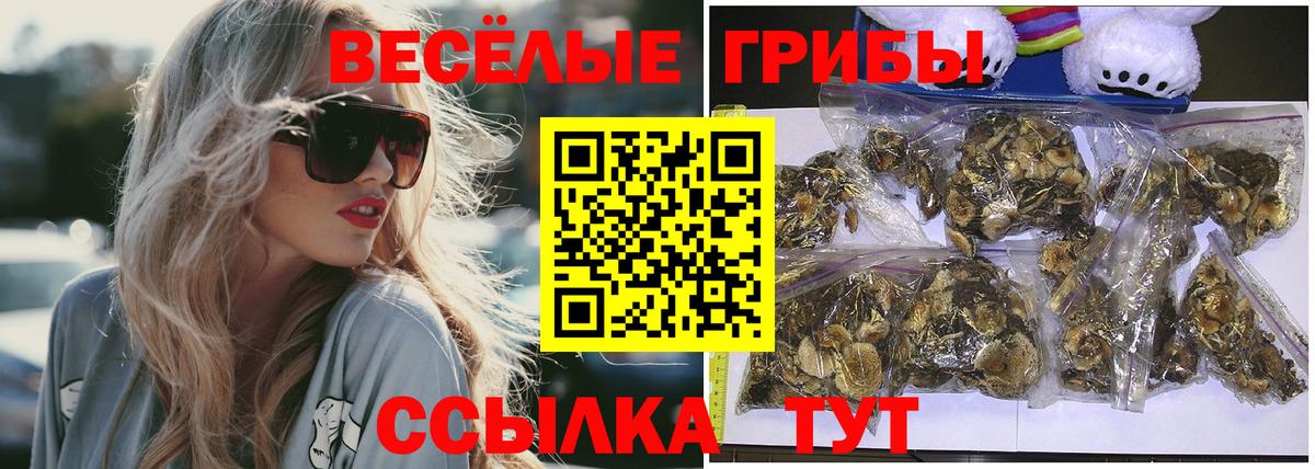 Псилоцибиновые грибы Psilocybe  Псилоцибиновые грибы ЛСД  Вход с VPN  Лабытнанги 